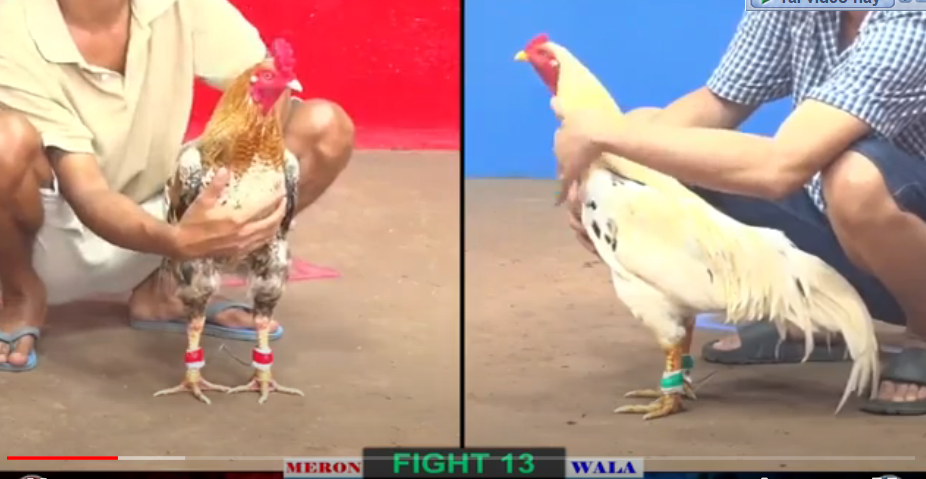 xổ 1 tỉ anh tuấn vs anh nhựt