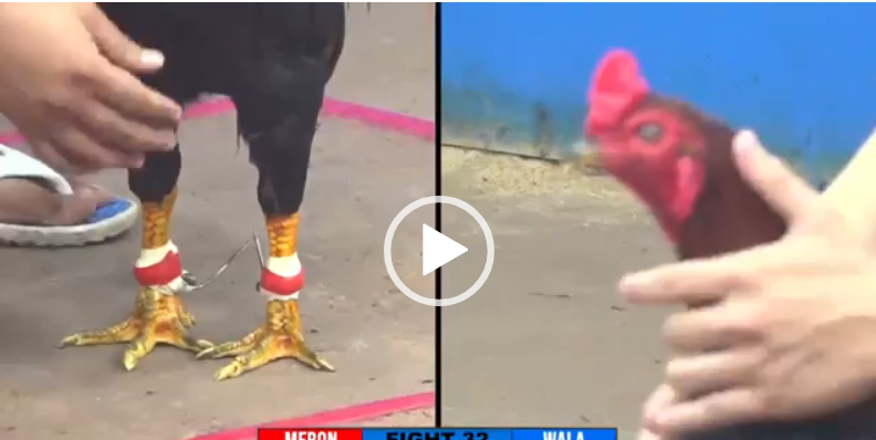 csn 999 vs dự bảo lộc