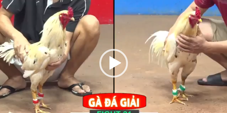 lít củ chi vs phước đt