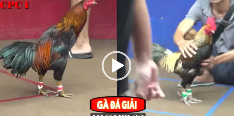 tính gaking vs tuấn cu tg cpc1