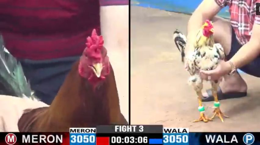 anh-giang-vs-tan-rach-gia-tran-3-cpc3-ngay-18-08-2024