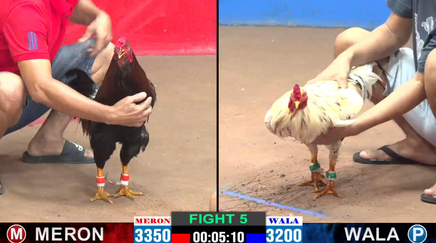 anh-hieu-vs-bao-sting-tran-5-cpc2-ngay-09-08-2024