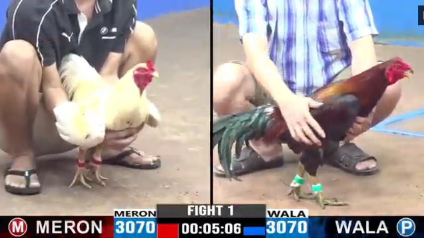 bao-sting-vs-vu-ben-tre-tran-1-cpc3-ngay-18-08-2024