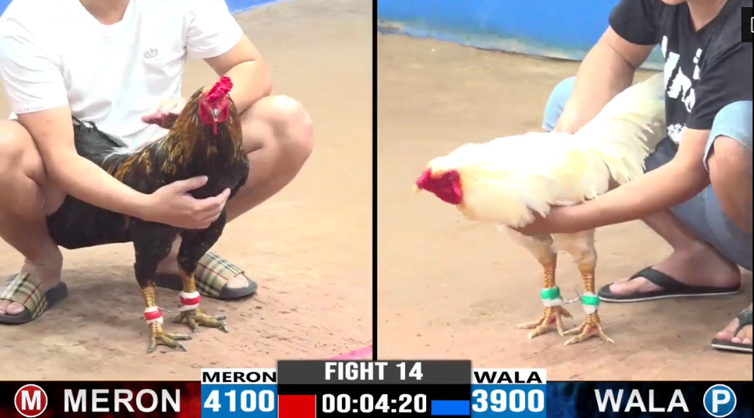 du-bao-loc-vs-anh-lin-tran-14-cpc3-ngay-11-08-2024