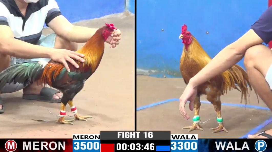 dung-sai-gon-vs-bao-sting-tran-16-cpc3-ngay-11-08-2024