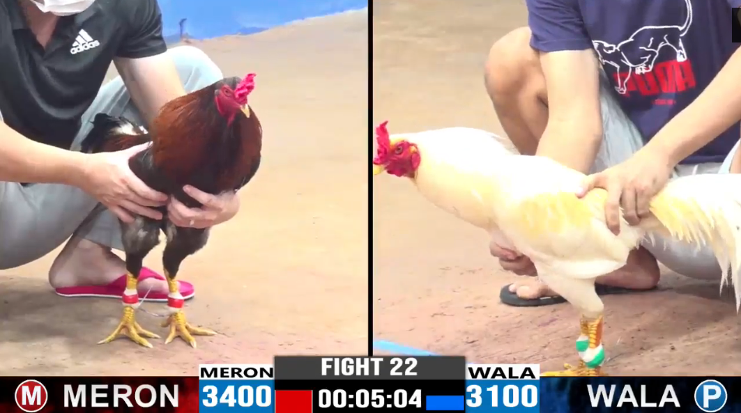 truong-binh-duong-vs-bao-sting-tran-22-cpc3-ngay-11-08-2024