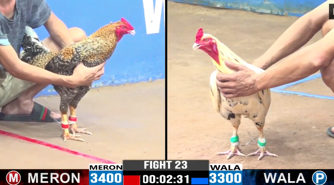 tinh-binh-duong-vs-bao-sting-tran-23-cpc3-ngay-11-08-2024