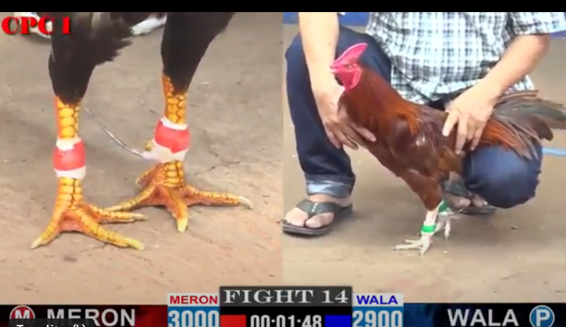 tran-14-cpc1-08-08-2024