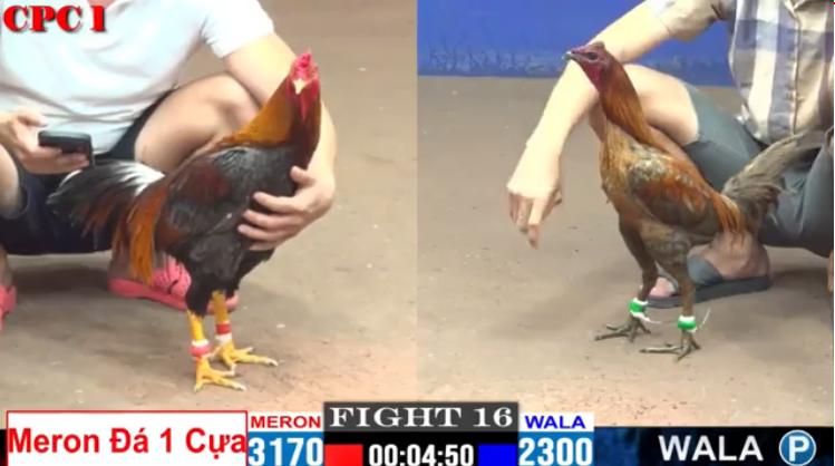 tran-16-cpc1-phuoc-can-tho-vs-duyen-ti