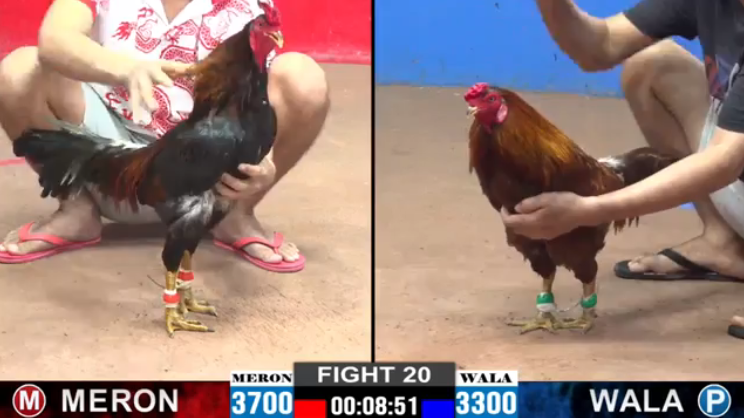 anh-so-vs-bao-sting-tran-20-cpc2-ngay-04-09-2024