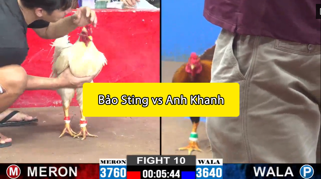 trận 10 cpc2 ngày 15/11/2024 bảo sitng vs anh khanh