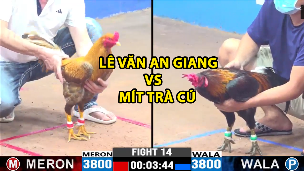 trận 14 cpc3 ngày 19/11/2024 lê văn an giang vs mít trà cu