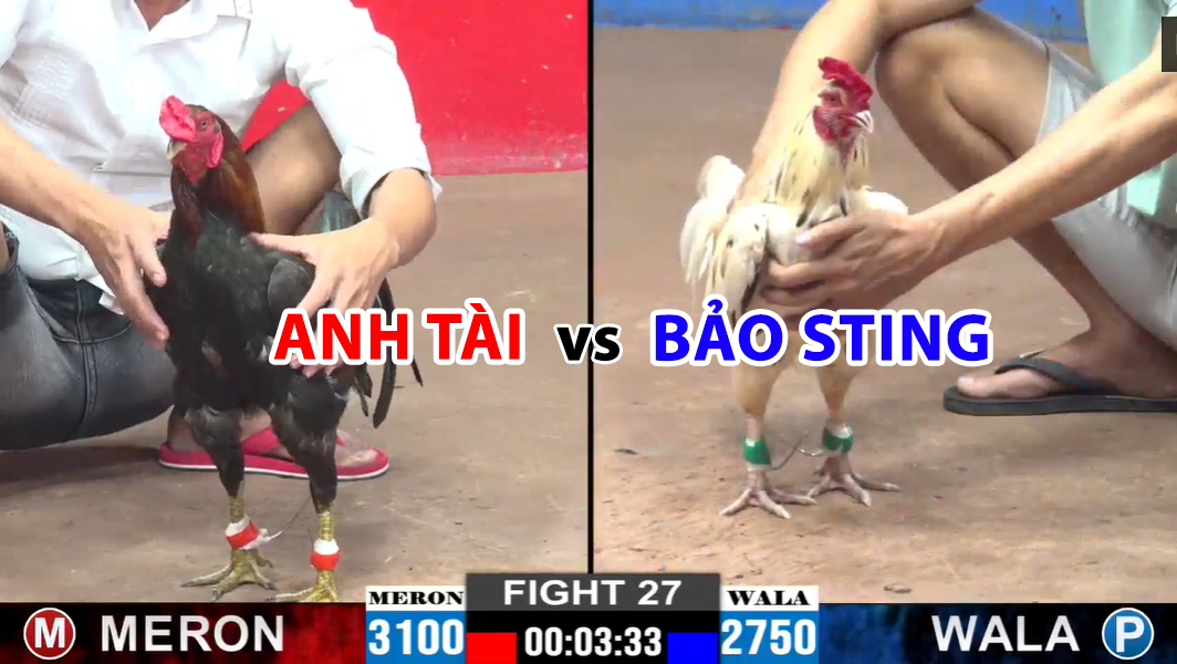 trận 27 cpc2 ngày 22/11/2024 anh tài vs bảo sting