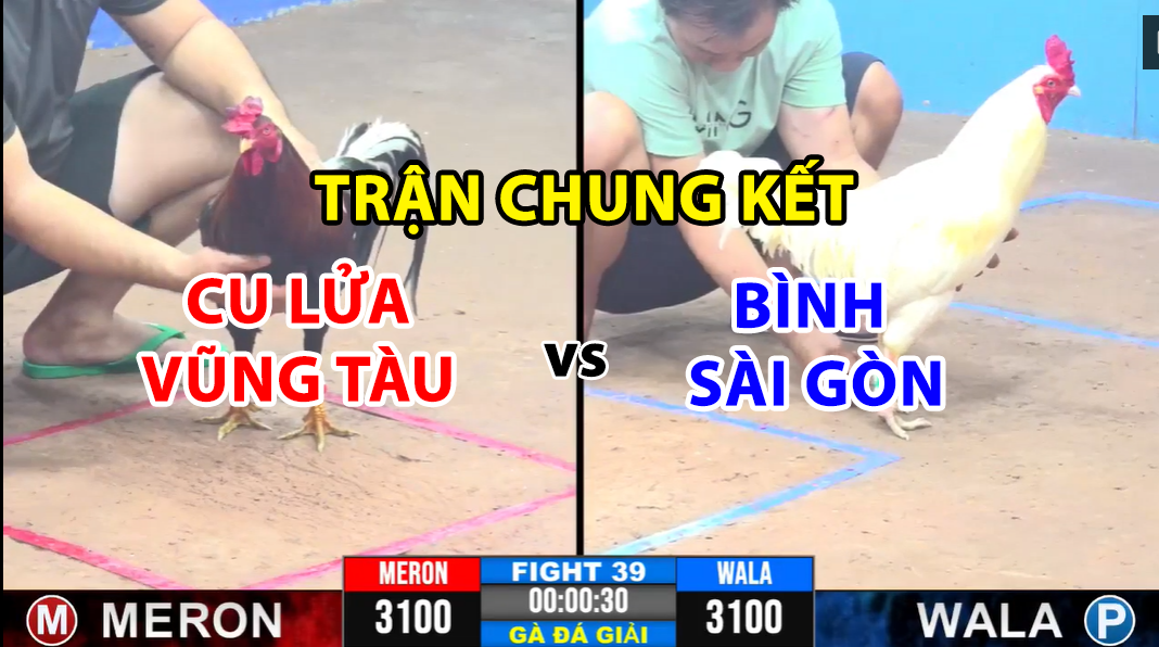 trận 39 cpc3 ngày 25/11/2024 trận chung kết