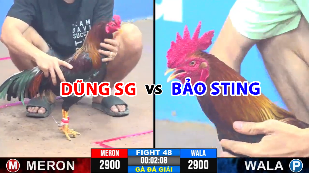 trận 48 cpc3 ngày 19/11/2024 dũng sài gòn vs bảo sting