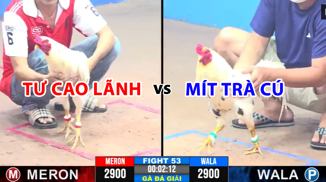 trận 53 cpc3 19/11/2024 tư cao lãnh vs mít trà cú