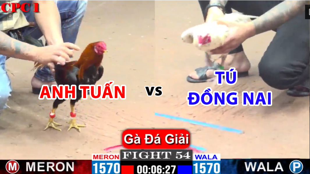 trận 54 cpc1 ngày 28/11/2024 chung kết hôm nay anh tuấn vs tú đồng nai