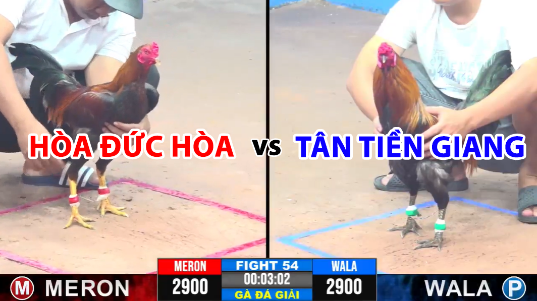 trận 54 cpc3 ngày 19/11/2024 hòa đức hòa vs tân tiền giang