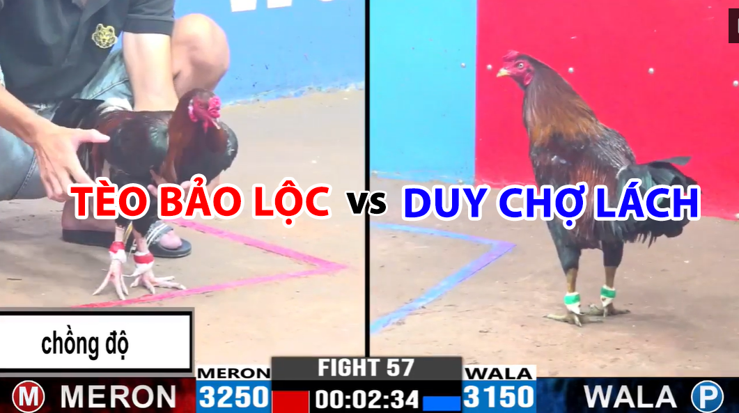 trận 57 cpc3 ngày 19/11/2024 tèo bảo lộc vs duy chợ lách