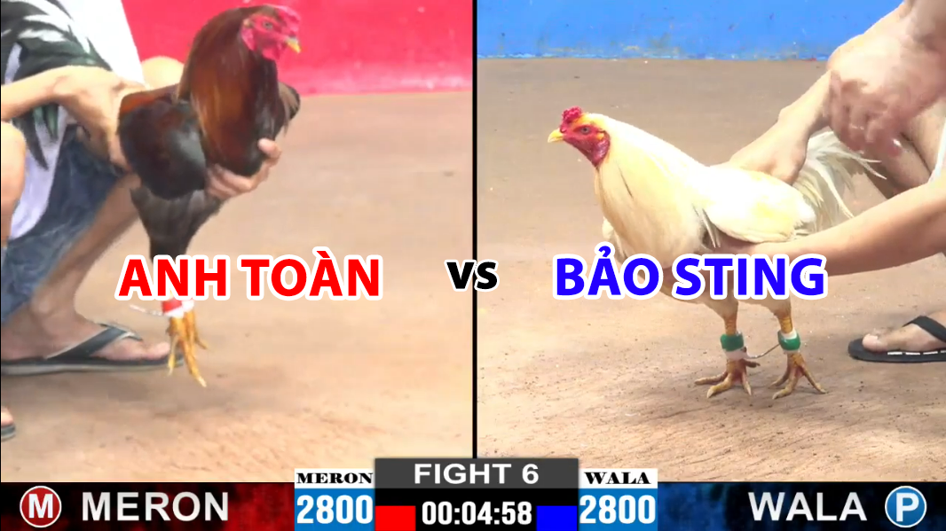 trận 6 cpc2 ngày 27/11/2024 anh toàn vs bảo sting