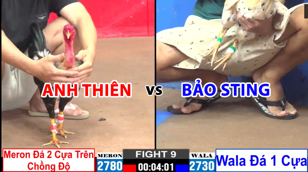 trận 9 cpc2 ngày 20/11/2024 anh thiên vs bảo sting