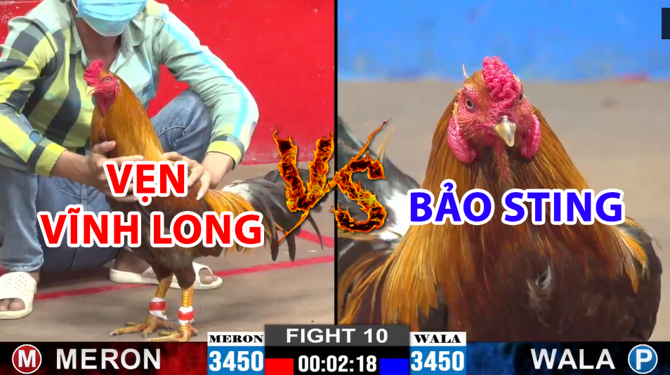 trận 10 cpc2 ngày 15/12/2024 hôm nay bảo sting vs vẹn vĩnh long