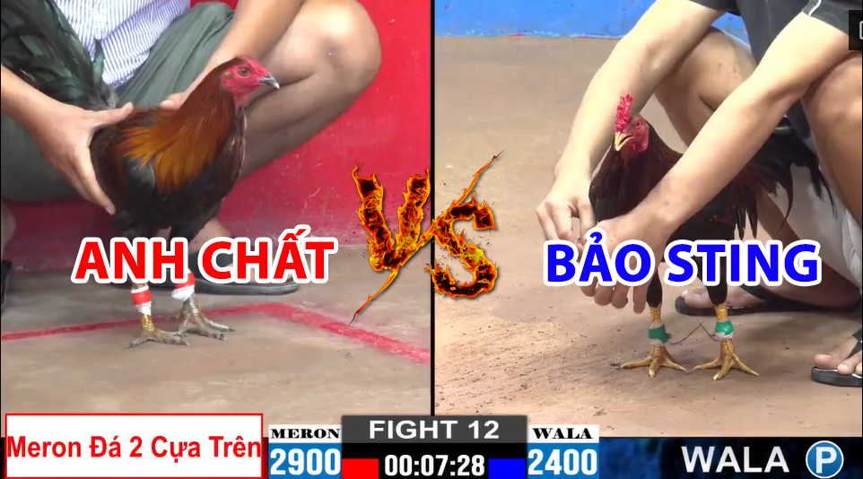 trận 12 cpc2 ngày 18/12/2024 hôm nay giữa bảo sting vs anh chất