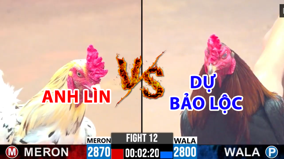 trận 12 cpc2 ngày 17/12/2024 hôm nay giữa dự bảo lộc vs anh lìn