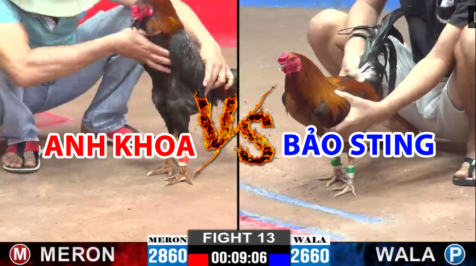 trận 13 cpc2 ngày 22/12/2024 hôm nay bảo sting vs anh khoa