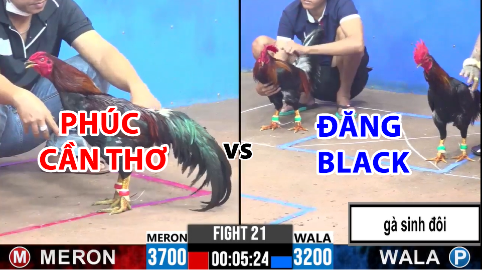 trận 21 cpc3 ngày 12/12/2024 hôm nay phúc cần thơ vs đăng black