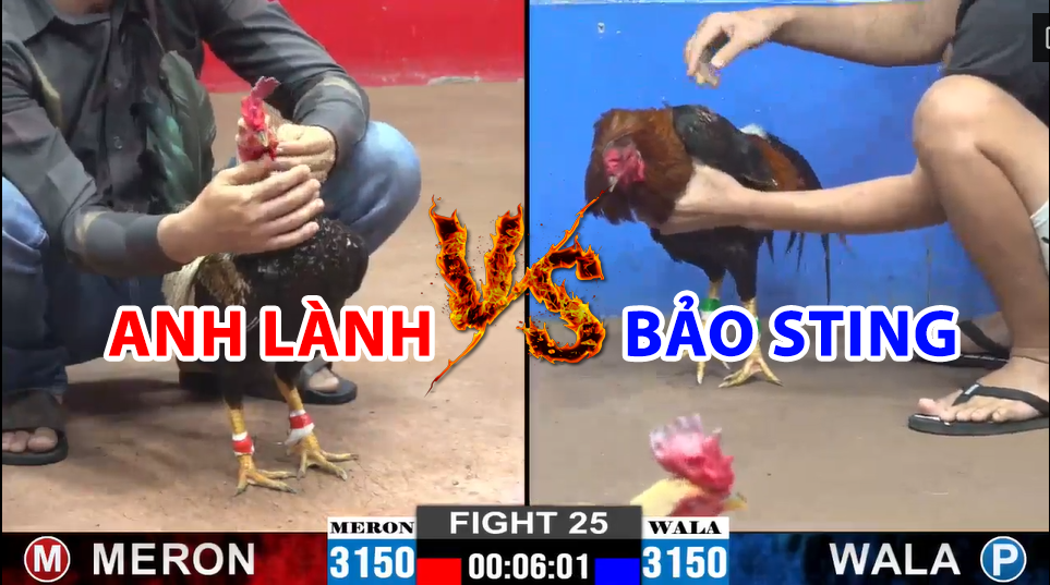 trận 25 cpc2 ngày 22/12/204 hôm nay giữa bảo sting và anh lành