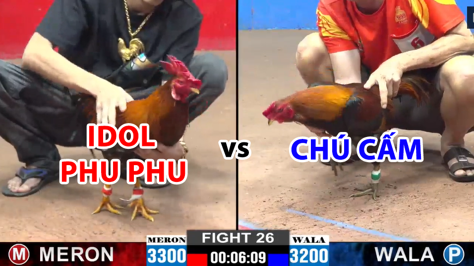 trận 26 cpc2 ngày 13/12/2024 hôm nay idol phu phu vs chú cấm