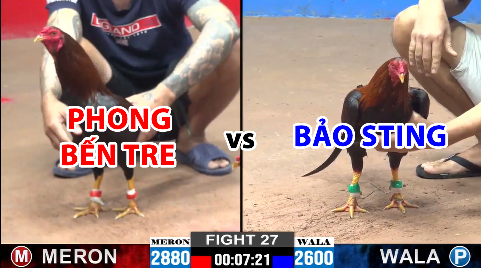 trận 27 cpc2 ngày 13/12/2024 hôm nay bảo sting vs phong bến tre