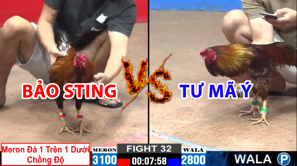 trận 32 cpc2 ngày 22/12/2024 hôm nay giữa bảo sting và tư mã ý