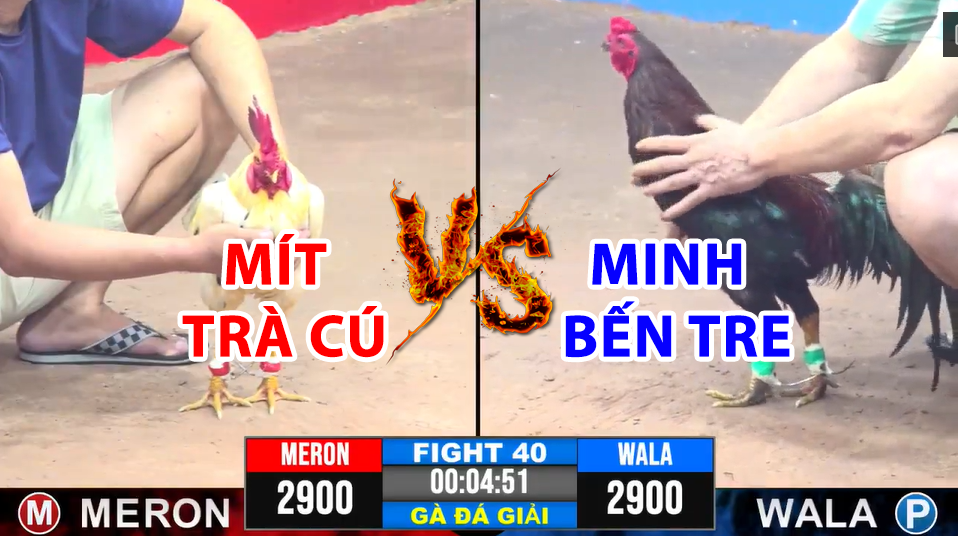 trận 40 cpc3 ngày 17/12/2024 hôm nay giữa mít trà cú vs minh bến tre