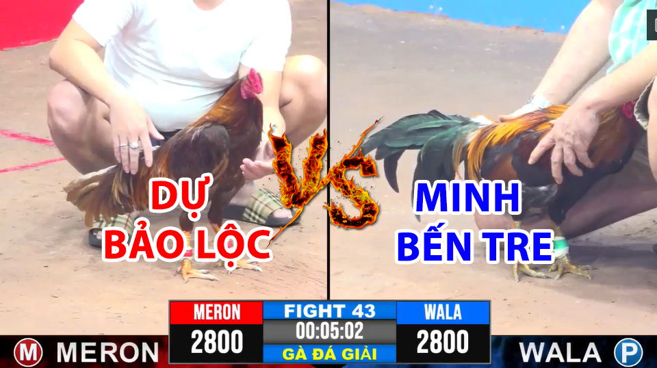 trận 43 cpc3 ngày 17/12/2024 hôm nay giữa dự bảo lộc vs minh bến tre