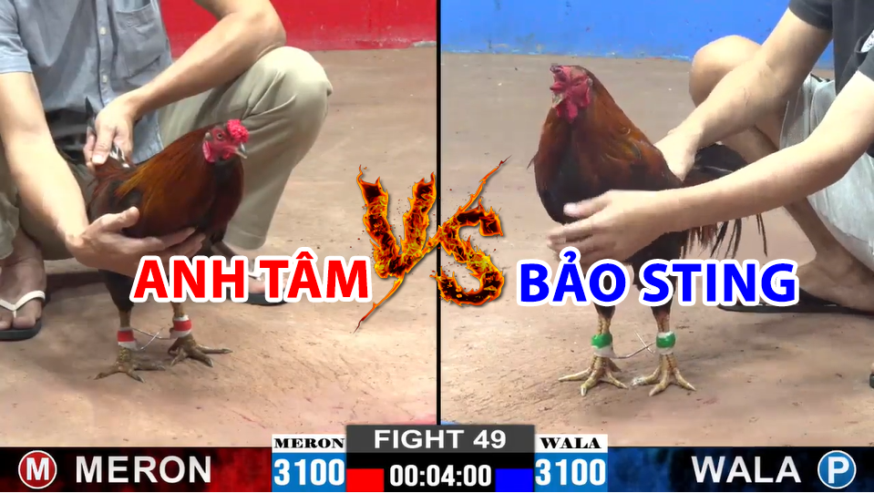 trận 49 cpc2 ngày 22/12/2024 hôm nay giữa bảo sting vs anh tâm