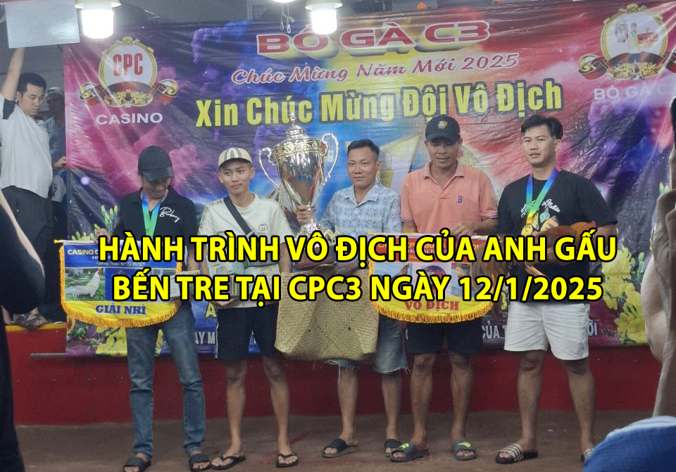 hành trình vô địch của anh gấu bến tre tại cpc3 ngày 12/1/2025