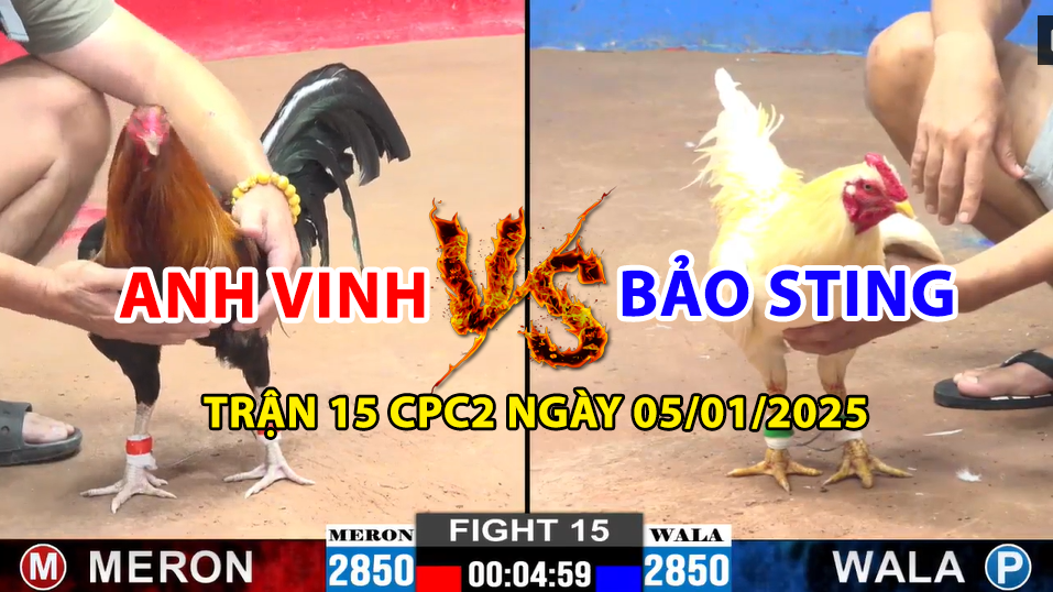 trận 15 cpc2 ngày 05/01/2025 hôm nay giữa anh vinh và bảo sting