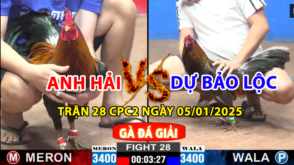 trận 28 cpc2 ngày 05/01/2025 hôm nay giữa anh hải và dự bảo lộc