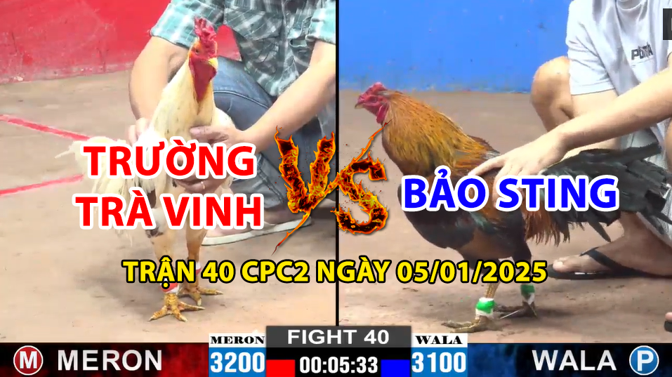 trận 40 cpc2 ngày 05/01/2025 hôm nay giữa trường trà vinh và bảo sting