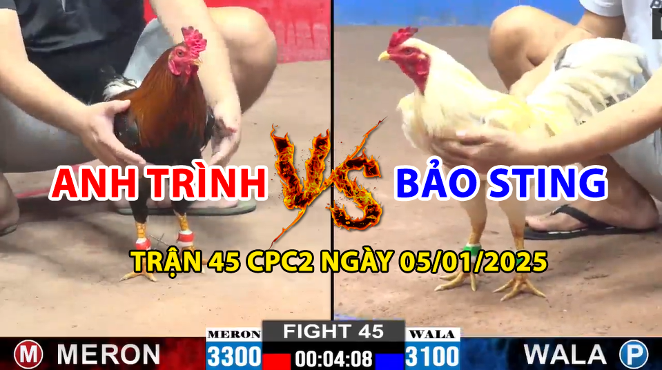trận 45 cpc2 ngày 05/01/2025 hôm nay giữa bảo sting và anh trình