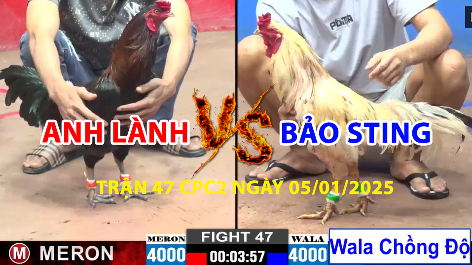 trận 47 cpc2 ngày 05/01/2025 hôm nay giữa bảo sting và anh lành