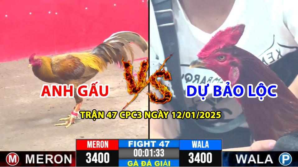 TRẬN 47 CPC3 NGÀY 12/01/2025 HÔM NAY GIỮA ANH GẤU VS DỰ BẢO LỘC
