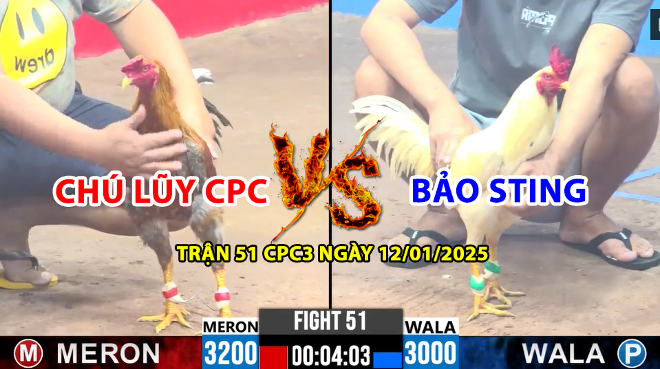 trận 51 cpc3 ngày 12/01/2025 hôm nay giữa chú lũy vs bảo sting