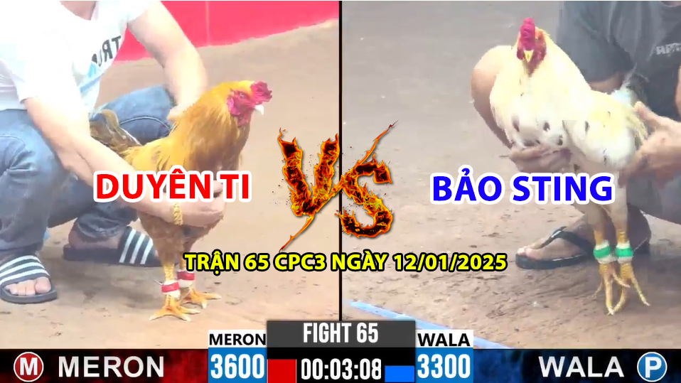 trận 65 cpc3 ngày 12/01/2025 hôm nay giữa duyên ti vs bảo sting