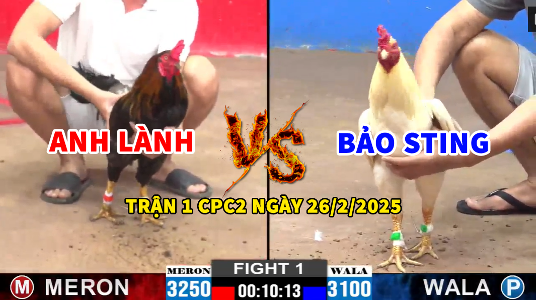 trận 1 ccp2 ngày 26/2/2025 hôm nay anh lành vs bảo sting