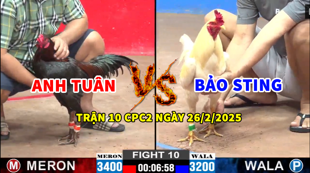 trận 10 cpc2 ngày 26/2/2025 hôm nay anh tuân vs bảo sting