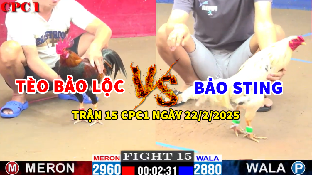 trận 15 cpc1 ngày 22/2/2025 hôm nay tèo bảo lộc vs bảo sting