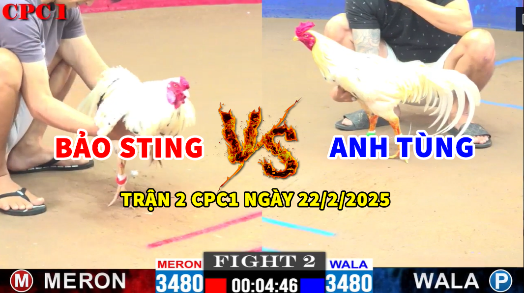 trận 2 cpc1 ngày 22/2/2025 hôm nay giữa bảo sting vs anh tùng